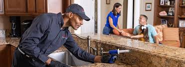 Best Pest Control for Multi-Family Homes  in Golden Valley, AZ