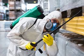 Best Commercial Pest Control  in Golden Valley, AZ